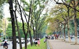 [ẢNH] Lạc lối giữa những con đường lãng mạn như phim trường